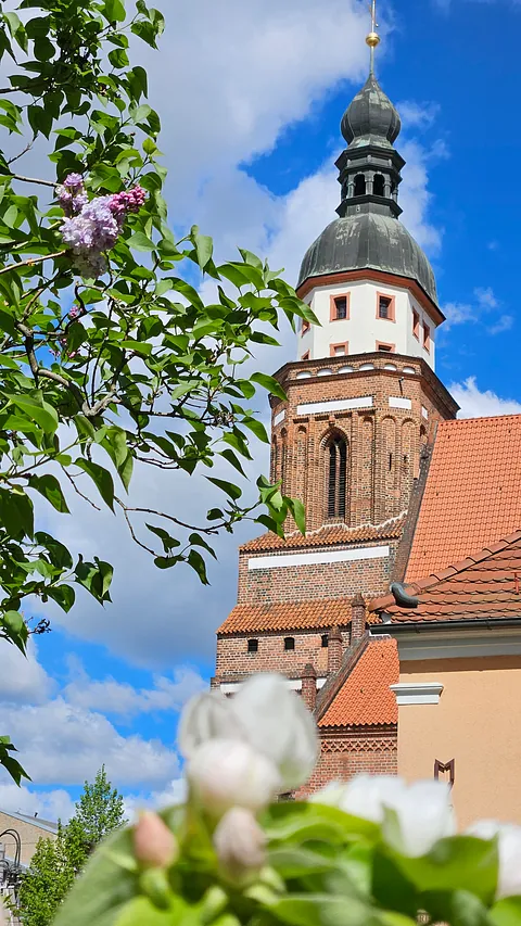 Oberkirche St. Nikolai im Frühling